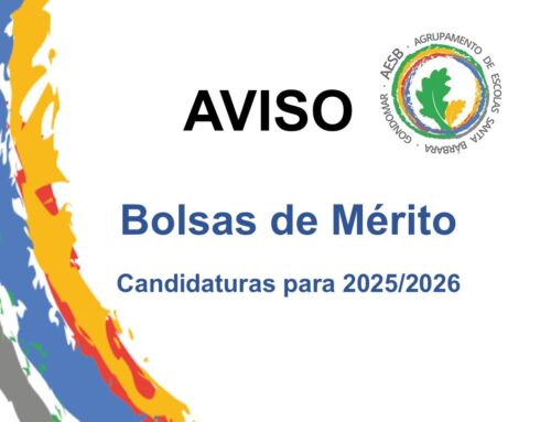 Bolsas de Mérito