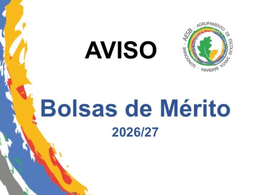 Bolsas de Mérito